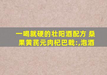 一喝就硬的壮阳酒配方 桑果黄芪元肉杞巴戟:,泡酒